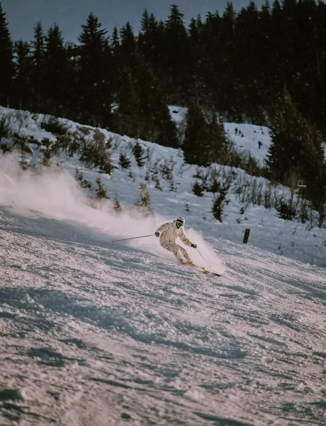 Film LUT stock preview